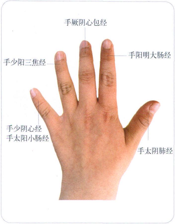 一、甲診方法